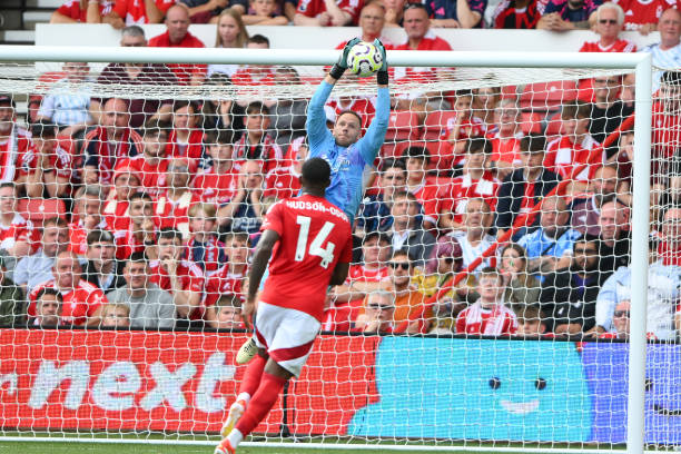 尔领衔的后 尔领衔的后