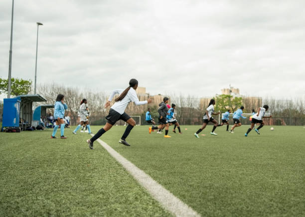 仅展示了中 仅展示了中