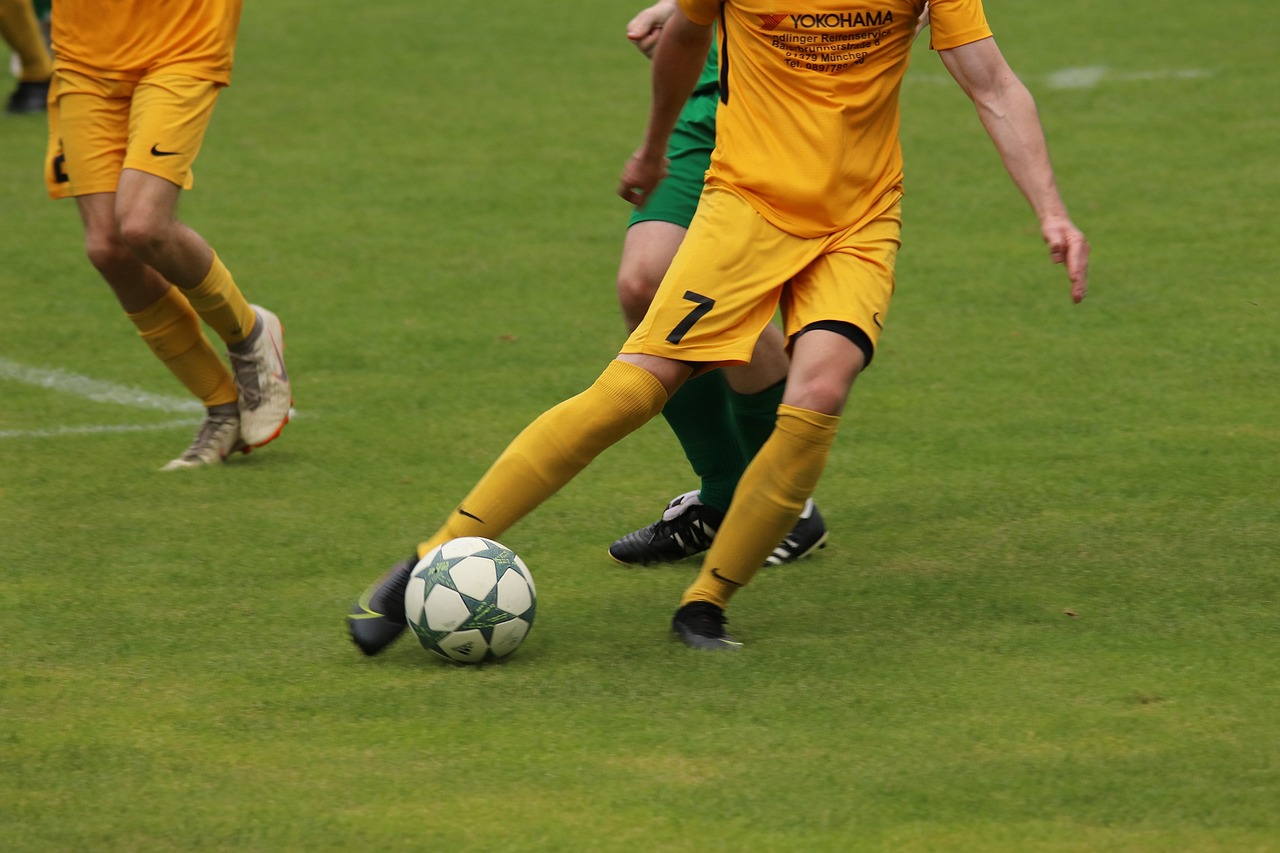 風景以及與 風景以及與